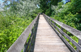Walking trail foot bridge