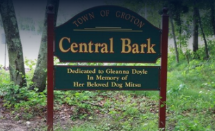 Central Bark